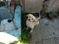 /album/bildgalleri/bild-060-jpg/